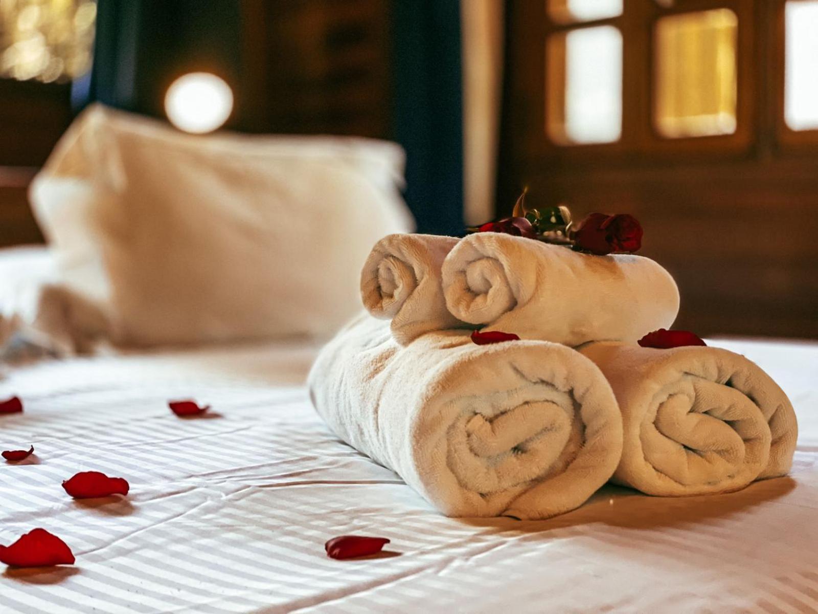 Inn Solar D'araucaria 3*